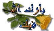 جمال الجزائر 976642